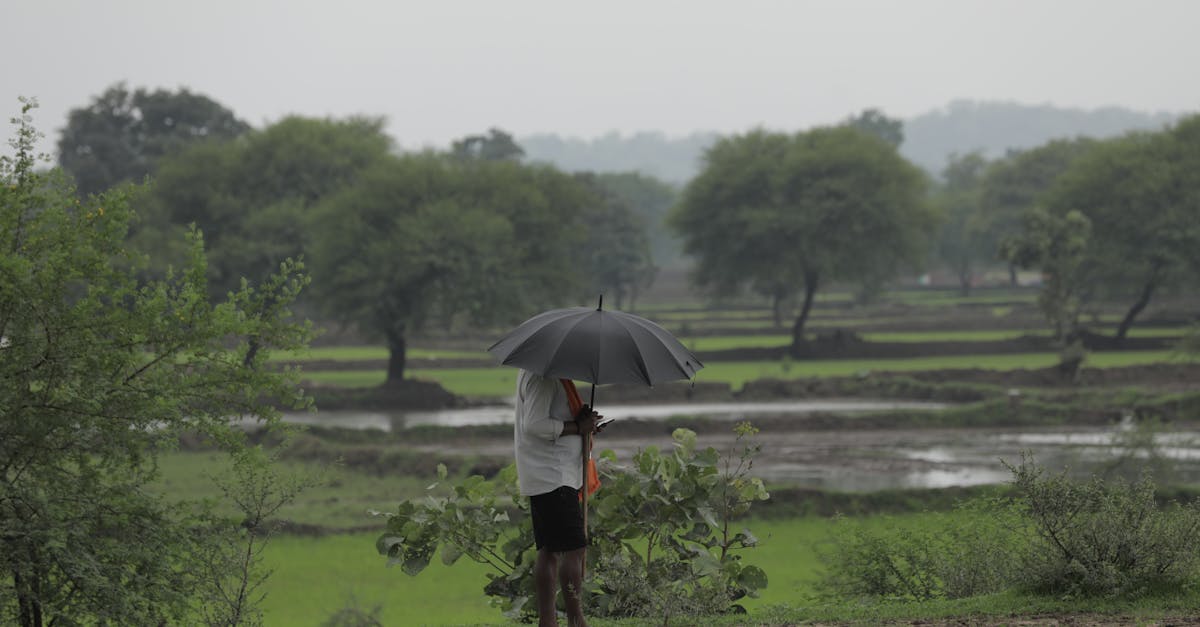 Monsoon Skincare Guide: How to Prevent Breakouts, Dullness, and Sun Damage When It's Humid