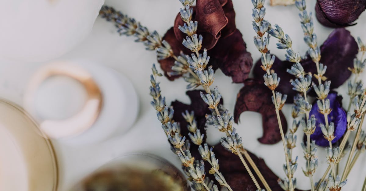 Sensitive Skin Essentials: How to Choose Products That Soothe, Hydrate, and Protect