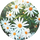 Chamomile & Witch Hazel Extracts: icon