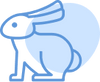 Vegan