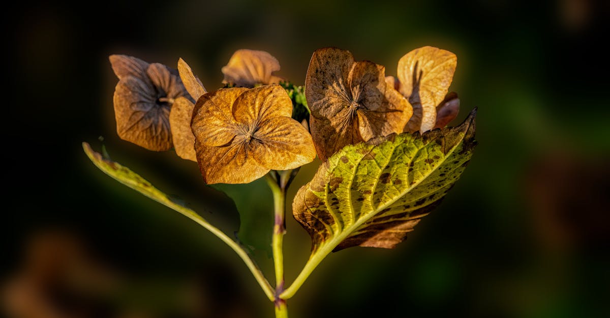 Moisturizer Mistakes You’re Making in Winter (And the Simple Switches That Really Work)