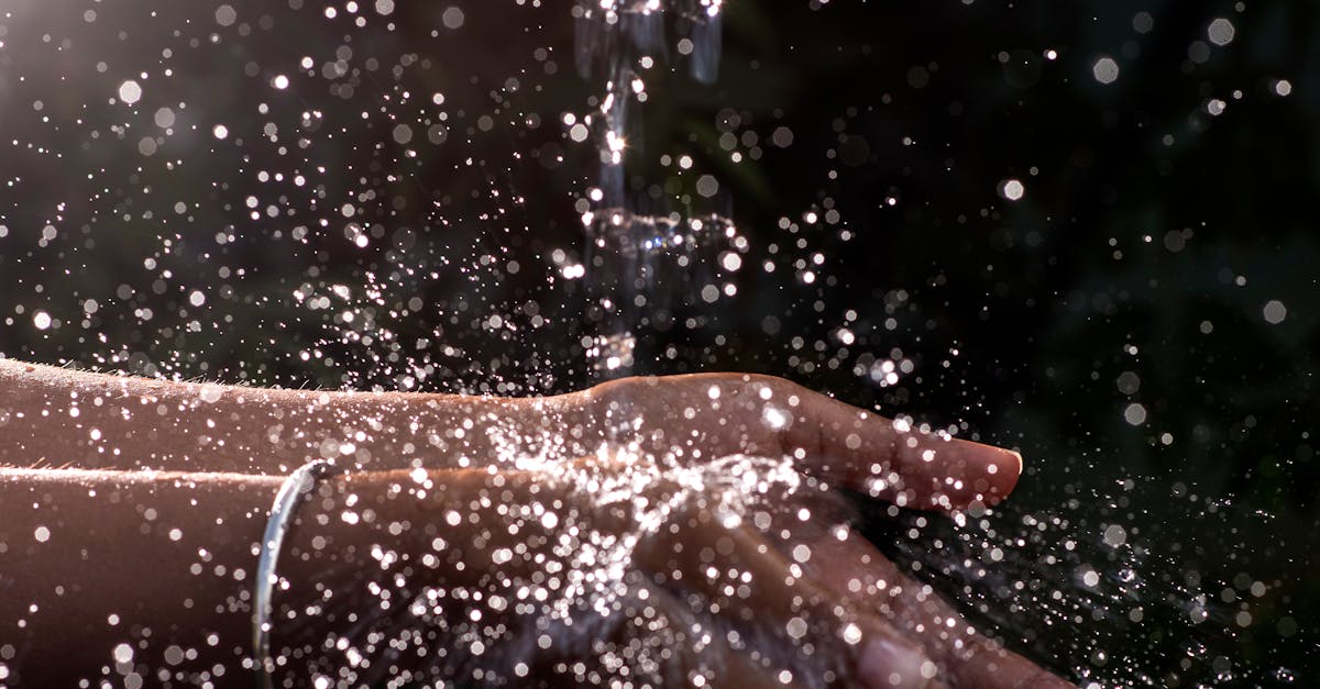 Are Gel or Cream Cleansers Better for Urban Pollution? Unpacking Ingredients and Efficacy